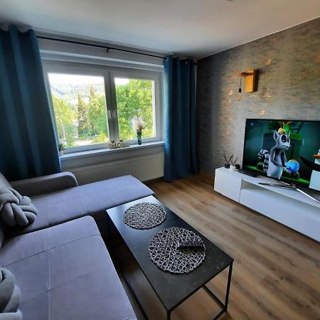 Orlicka Apartament Duszniki Zdrój Kültér fotó