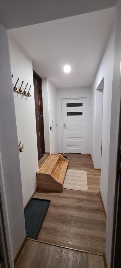 Orlicka Apartament Duszniki Zdrój Kültér fotó