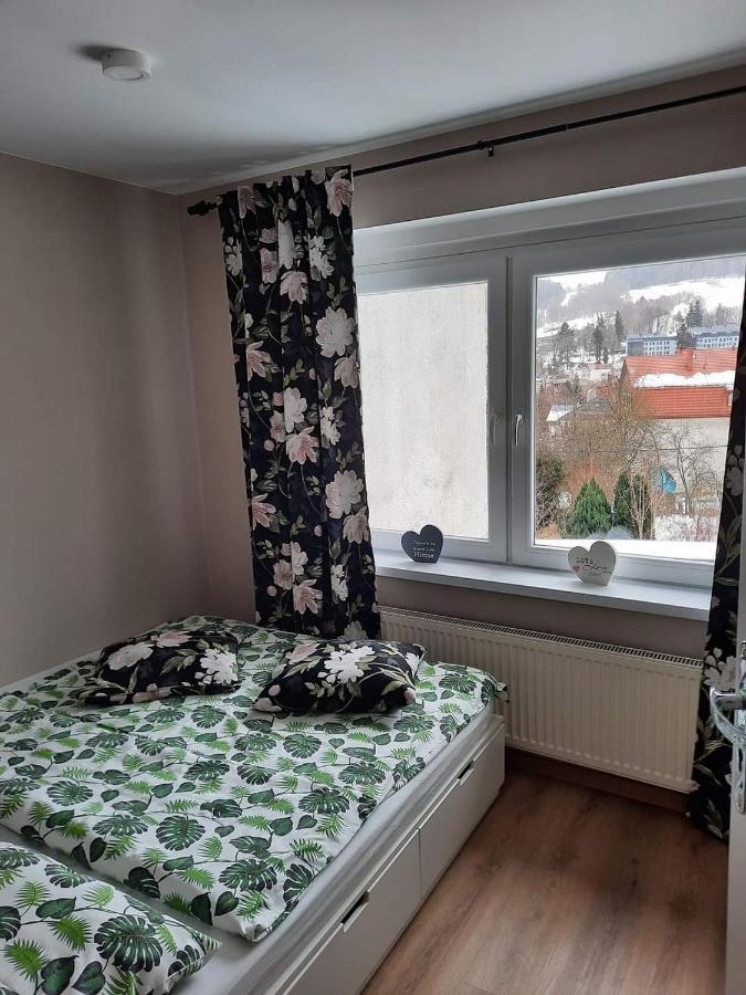 Orlicka Apartament Duszniki Zdrój Kültér fotó